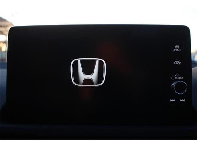 ��D�]�̃{�f�B�R�[�e�B���O�u�n�C���[�X�R�[�g�v�����[�Ԃ܂łɎ{�H�\�B�J���݂�����Ȃǒ��ÎԂ�����ƒ��߂Ă��܂���?�s�J�s�J�̏�Ԃł����o�����������܂��B