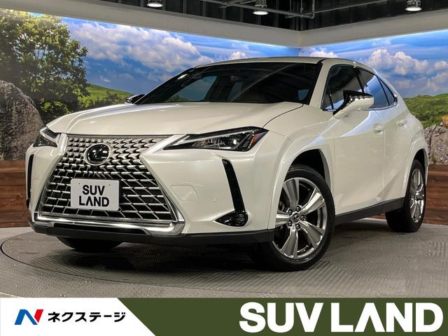 UX250h グレイスフル エクスプローラー