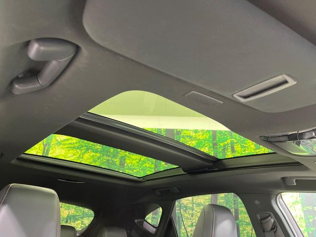 �y�T�����[�t�z�J���������Ղ�̊󏭑����A�T�����[�t����������Ă��܂�!�ԓ��ɖ�����������ꂽ��i�F���y���ވȊO�ɂ��A�ԓ��̋�C���ȒP�Ɋ��C�ł��ĉ��K�ł�!