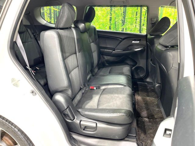 �㕔���Ȃ��C�ɂȂ�悤�ȃL�Y�E�����ւ��蓙�A�傫�ȃ_���[�W�͂Ȃ��A�ǍD�ȏ�Ԃł��B