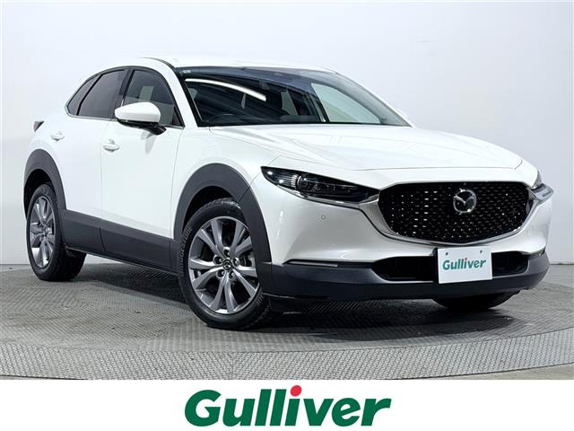 CX-301.8 XD プロアクティブ ツーリングセレクション