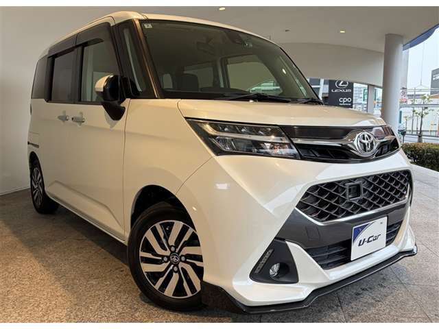 タンク1.0 カスタム G S