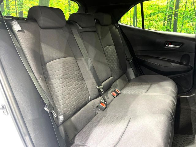 �㕔���Ȃ��C�ɂȂ�悤�ȃL�Y�E�����ւ��蓙�A�傫�ȃ_���[�W�͂Ȃ��A�ǍD�ȏ�Ԃł��B