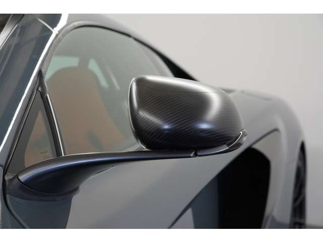 エクステリア、インテリア共にカーボンパーツが随所に施されています。