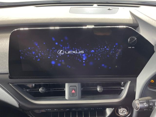 UX250h グレイスフル エクスプローラー