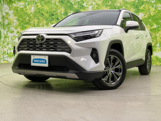 RAV42.5 ハイブリッド G E-Four 4WD