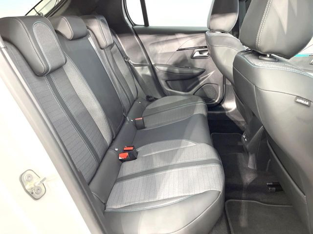 ���㕔���Ȃ��C�ɂȂ�悤�ȃL�Y�E�����ւ��蓙�A�傫�ȃ_���[�W�͂Ȃ��A�ǍD�ȏ�Ԃł��B