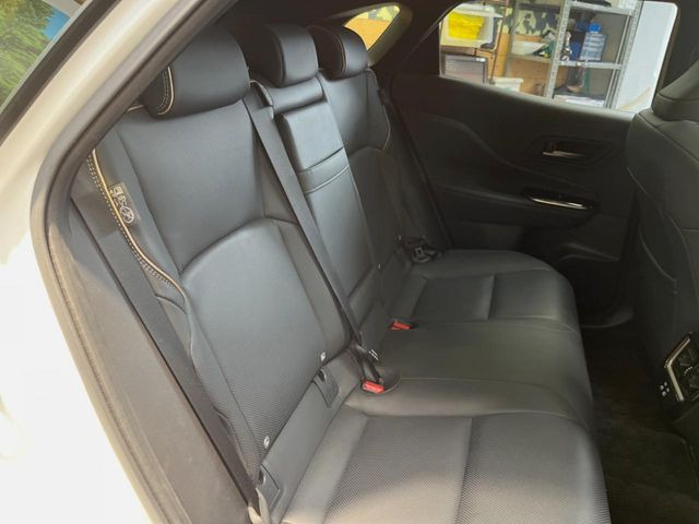 �㕔���Ȃ��C�ɂȂ�悤�ȃL�Y�E�����ւ��蓙�A�傫�ȃ_���[�W�͂Ȃ��A�ǍD�ȏ�Ԃł��B