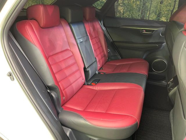 �㕔���Ȃ��C�ɂȂ�悤�ȃL�Y�E�����ւ��蓙�A�傫�ȃ_���[�W�͂Ȃ��A�ǍD�ȏ�Ԃł��B