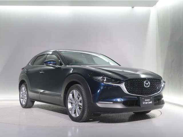 CX-302.0 20S プロアクティブ ツーリングセレクション