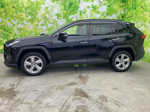 RAV42.0 G 4WD