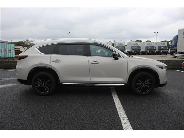 ���Ǝҗl�ւ̔̔��͂��f�肳���Ă��������܂��B�Ԍ������ԗ��̏ꍇ�́A�Ԍ����擾�������x�������z�ŕ\�����Ă���܂��B