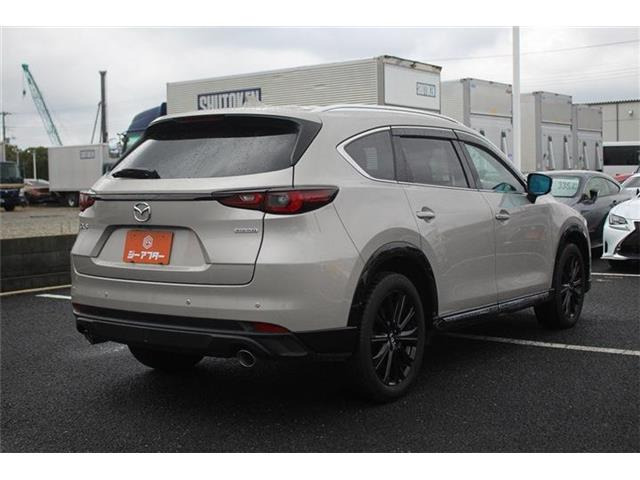 ���Ǝҗl�ւ̔̔��͂��f�肳���Ă��������܂��B�Ԍ������ԗ��̏ꍇ�́A�Ԍ����擾�������x�������z�ŕ\�����Ă���܂��B