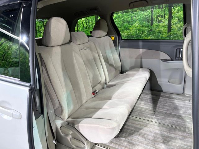 �㕔���Ȃ��C�ɂȂ�悤�ȃL�Y�E�����ւ��蓙�A�傫�ȃ_���[�W�͂Ȃ��A�ǍD�ȏ�Ԃł��B