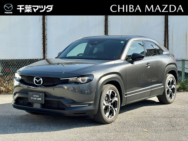 MX-302.0 ナチュラル モノトーン