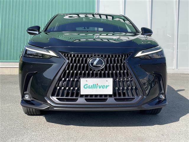 NX250 バージョンL