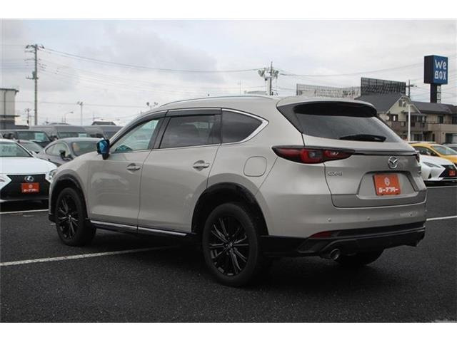 ���Ǝҗl�ւ̔̔��͂��f�肳���Ă��������܂��B�Ԍ������ԗ��̏ꍇ�́A�Ԍ����擾�������x�������z�ŕ\�����Ă���܂��B