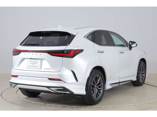 NX250 バージョンL