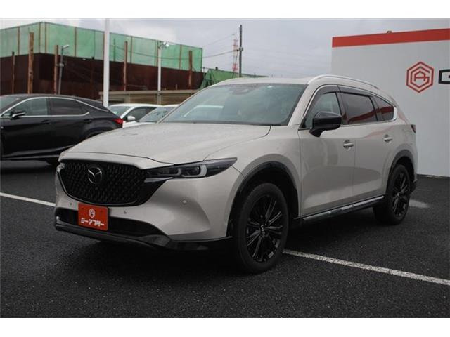 ���Ǝҗl�ւ̔̔��͂��f�肳���Ă��������܂��B�Ԍ������ԗ��̏ꍇ�́A�Ԍ����擾�������x�������z�ŕ\�����Ă���܂��B