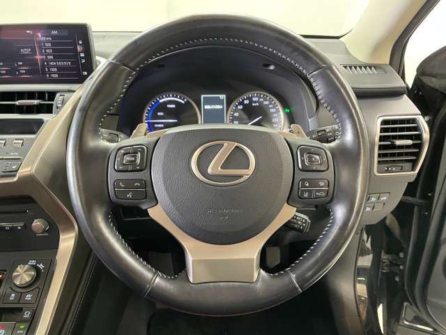 �^�]�Ȏ���ɑ傫�ȏ��A����A�ւ���ȂǂȂ��ǎ��ȏ�Ԃł�!