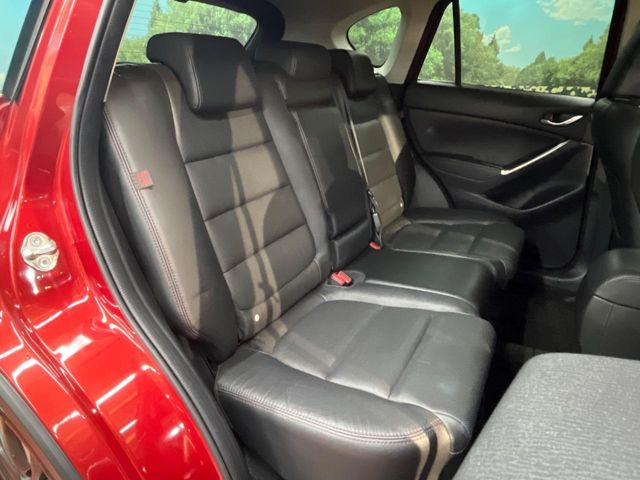 �㕔���Ȃ��C�ɂȂ�悤�ȃL�Y�E�����ւ��蓙�A�傫�ȃ_���[�W�͂Ȃ��A�ǍD�ȏ�Ԃł��B