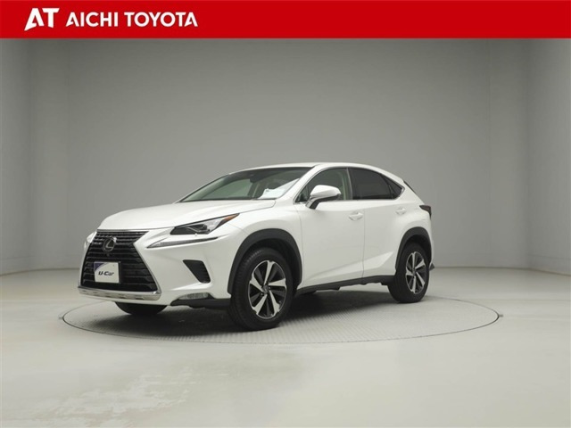 NX300 バージョンL