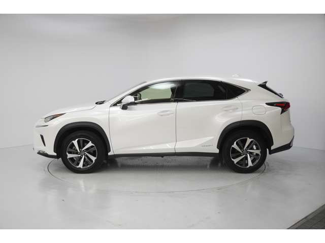 NX300h Iパッケージ