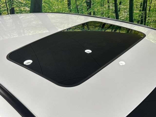 �y�T�����[�t�z�J���������Ղ�̊󏭑����A�T�����[�t����������Ă��܂�!�ԓ��ɖ�����������ꂽ��i�F���y���ވȊO�ɂ��A�ԓ��̋�C���ȒP�Ɋ��C�ł��ĉ��K�ł�!