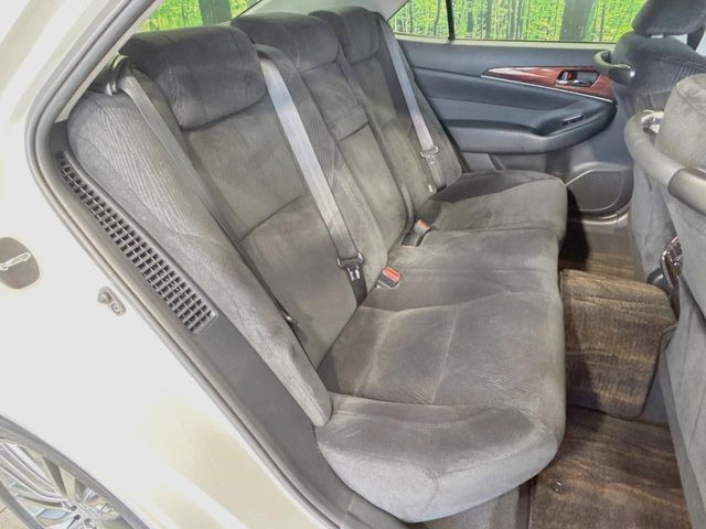 �㕔���Ȃ��C�ɂȂ�悤�ȃL�Y�E�����ւ��蓙�A�傫�ȃ_���[�W�͂Ȃ��A�ǍD�ȏ�Ԃł��B