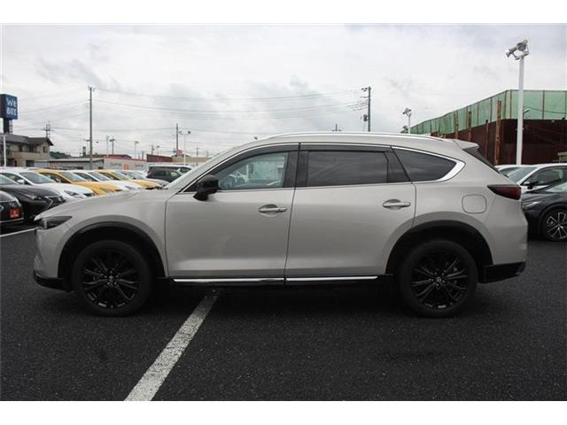 ���Ǝҗl�ւ̔̔��͂��f�肳���Ă��������܂��B�Ԍ������ԗ��̏ꍇ�́A�Ԍ����擾�������x�������z�ŕ\�����Ă���܂��B