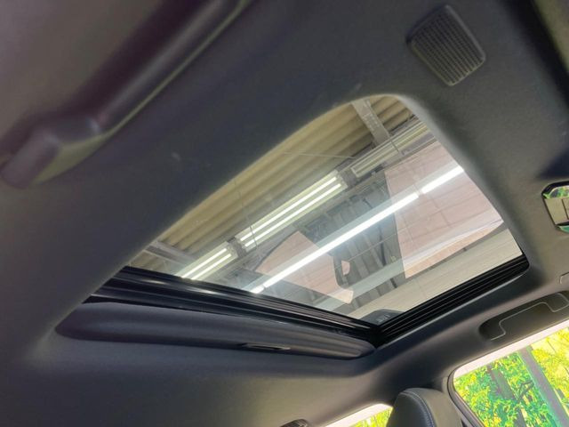 �y�T�����[�t�z�J���������Ղ�̊󏭑����A�T�����[�t����������Ă��܂�!�ԓ��ɖ�����������ꂽ��i�F���y���ވȊO�ɂ��A�ԓ��̋�C���ȒP�Ɋ��C�ł��ĉ��K�ł�!