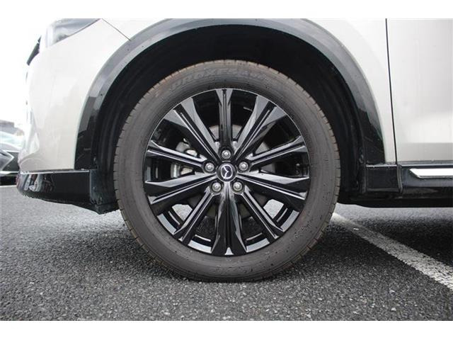 ���Ǝҗl�ւ̔̔��͂��f�肳���Ă��������܂��B�Ԍ������ԗ��̏ꍇ�́A�Ԍ����擾�������x�������z�ŕ\�����Ă���܂��B