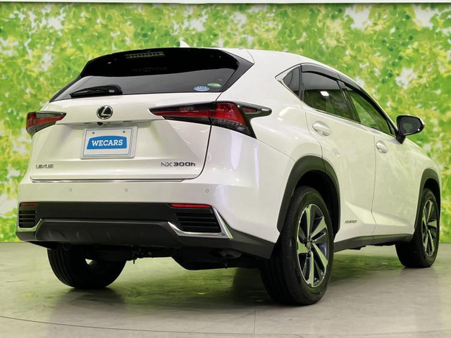 NX300h バージョンL