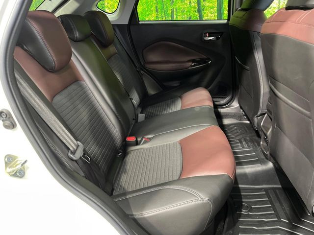 �㕔���Ȃ��C�ɂȂ�悤�ȃL�Y�E�����ւ��蓙�A�傫�ȃ_���[�W�͂Ȃ��A�ǍD�ȏ�Ԃł��B