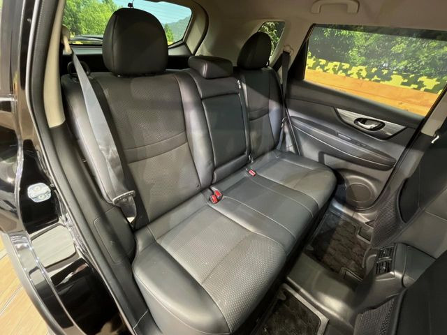 �㕔���Ȃ��C�ɂȂ�悤�ȃL�Y�E�����ւ��蓙�A�傫�ȃ_���[�W�͂Ȃ��A�ǍD�ȏ�Ԃł��B