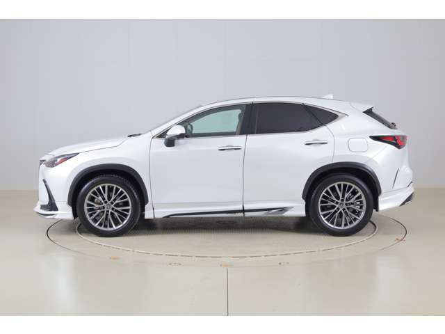 NX250 バージョンL