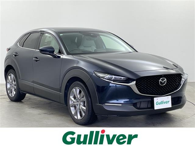 CX-301.8 XD Lパッケージ