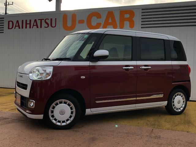 ムーヴキャンバス