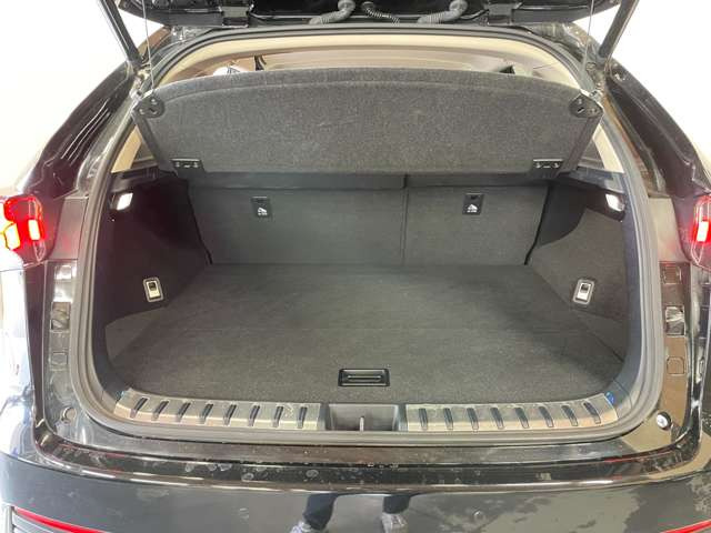 �L�X�Ƃ�����ԂŁA��y�ɂ��ו����o������\�ł�!!