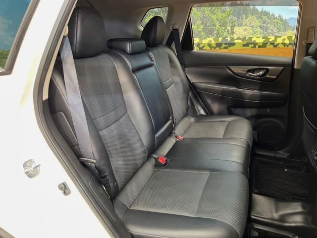 �㕔���Ȃ��C�ɂȂ�悤�ȃL�Y�E�����ւ��蓙�A�傫�ȃ_���[�W�͂Ȃ��A�ǍD�ȏ�Ԃł��B