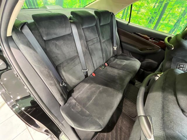 �㕔���Ȃ��C�ɂȂ�悤�ȃL�Y�E�����ւ��蓙�A�傫�ȃ_���[�W�͂Ȃ��A�ǍD�ȏ�Ԃł��B