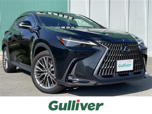 NX250 バージョンL