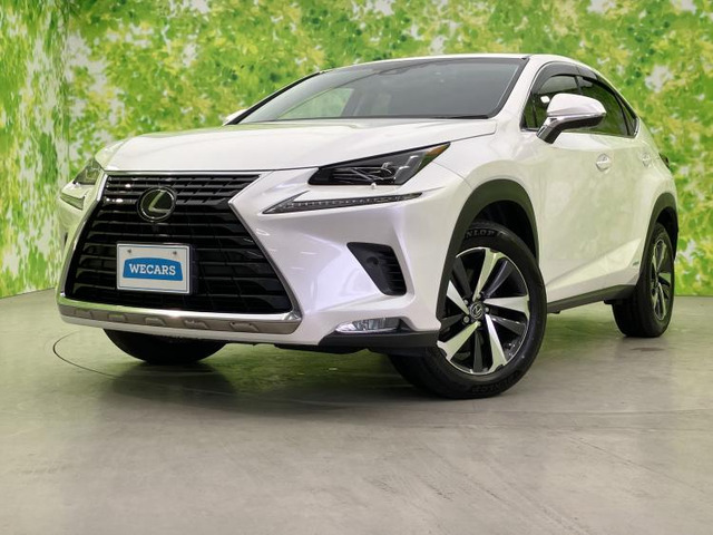 NX300h バージョンL