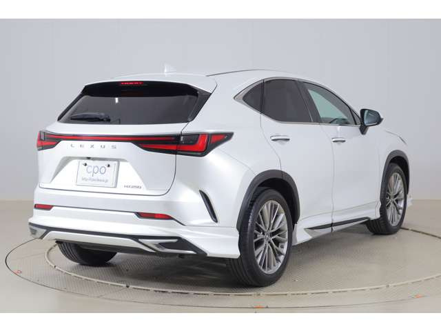 NX250 バージョンL