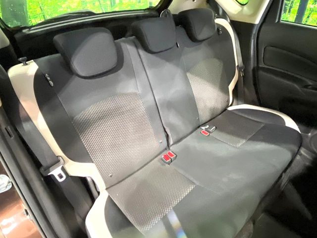 �㕔���Ȃ��C�ɂȂ�悤�ȃL�Y�E�����ւ��蓙�A�傫�ȃ_���[�W�͂Ȃ��A�ǍD�ȏ�Ԃł��B