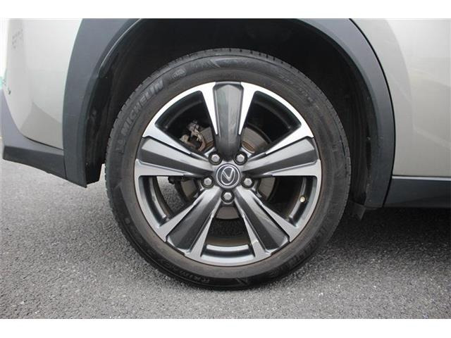 ���Ǝҗl�ւ̔̔��͂��f�肳���Ă��������܂��B �Ԍ������ԗ��̏ꍇ�́A�Ԍ����擾�������x�������z�ŕ\�����Ă���܂��B