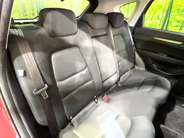 �㕔���Ȃ��C�ɂȂ�悤�ȃL�Y�E�����ւ��蓙�A�傫�ȃ_���[�W�͂Ȃ��A�ǍD�ȏ�Ԃł��B