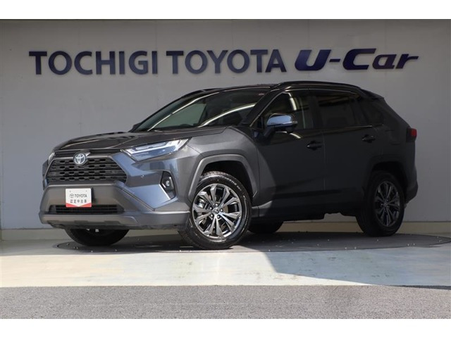 RAV42.5 ハイブリッド X