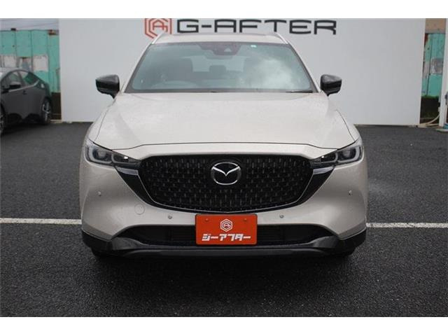 ���Ǝҗl�ւ̔̔��͂��f�肳���Ă��������܂��B�Ԍ������ԗ��̏ꍇ�́A�Ԍ����擾�������x�������z�ŕ\�����Ă���܂��B