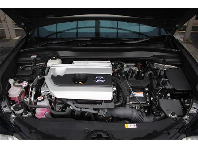 同業者様への販売はお断りさせていただきます。車検無し車両の場合は、車検を取得したお支払い総額で表示しております。